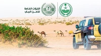 #السعودية | القوات الخاصة لـ #الأمن_البيئي توقف 38 مخالفًا لـ #نظام_البيئة لارتكابهم مخالفات رعي